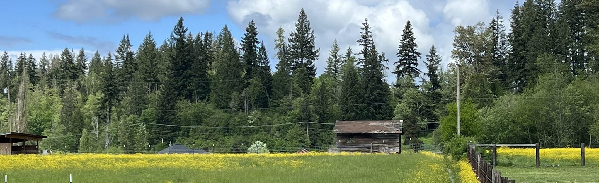 Foothills Trail South Prairie to Buckley, Washington 131 Reviews