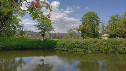 Schloss Nordkirchen - Hirschpark