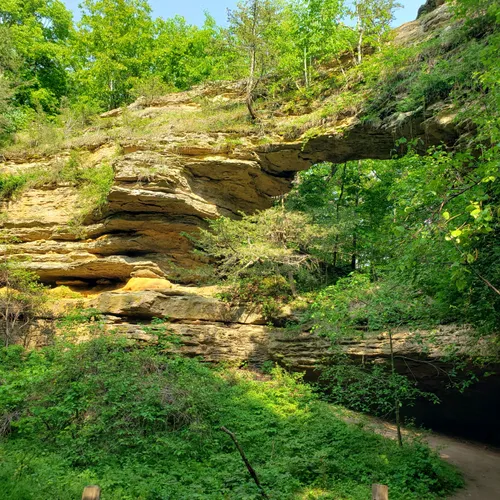 are dogs allowed at natural bridge state park wi