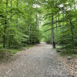 Scott's Run River Trail, Virginia - 883 Reviews, Map | AllTrails