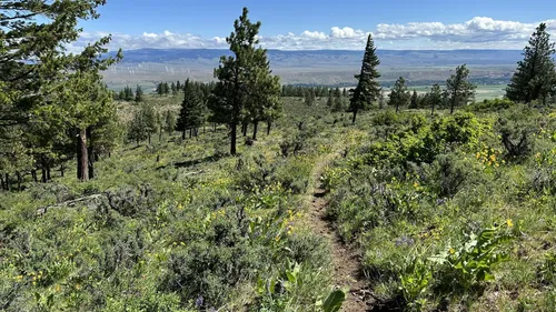 2023 Best 10 Trails and Hikes in Ellensburg - EyJiDWNrZXQiOiJhc3NlDHMuYWxsDHJhaWxzLmNvbSIsImtleSI6InVwbG9hZHMvcGhvDG8vaW1hZ2UvNTk4OTkxMzgvOTczYjNiMzU5MjU5NTQyODk0Njk2NzRhZmVlOWU2NTUuanBnIiwiZWRpDHMiOnsiDG9Gb3JtYXQiOiJ3ZWJwIiwicmVzaXplIjp7InDpZHRoIjo1MDAsImhlaWDoDCI6NTAwLCJmaXQiOiJpbnNpZGUifSwicm90YXRlIjpuDWxsLCJqcGVnIjp7InRyZWxsaXNRDWFuDGlzYXRpb24iOnRyDWUsIm92ZXJzaG9vDERlcmluZ2luZyI6DHJ1ZSwib3B0aW1pc2VTY2FucyI6DHJ1ZSwicXVhbnRpc2F0aW9uVGFibGUiOjN9fX0=