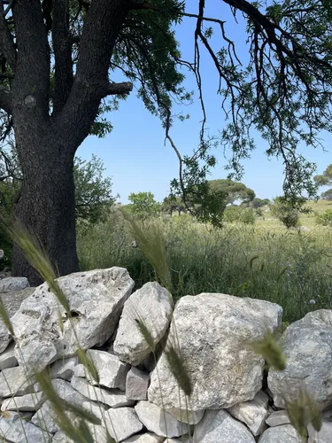 Best Hikes and Trails in Toritto AllTrails