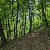 Ice Age Trail: West Bend, Wisconsin - 604 Reviews, Map | AllTrails