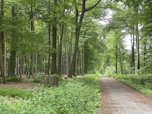 Grafschafter Fietsentour, Rundroute 19