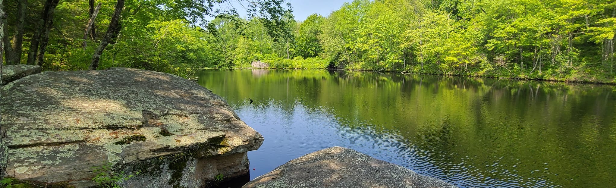 Cat Hollow Trail, Connecticut 228 Reviews, Map AllTrails