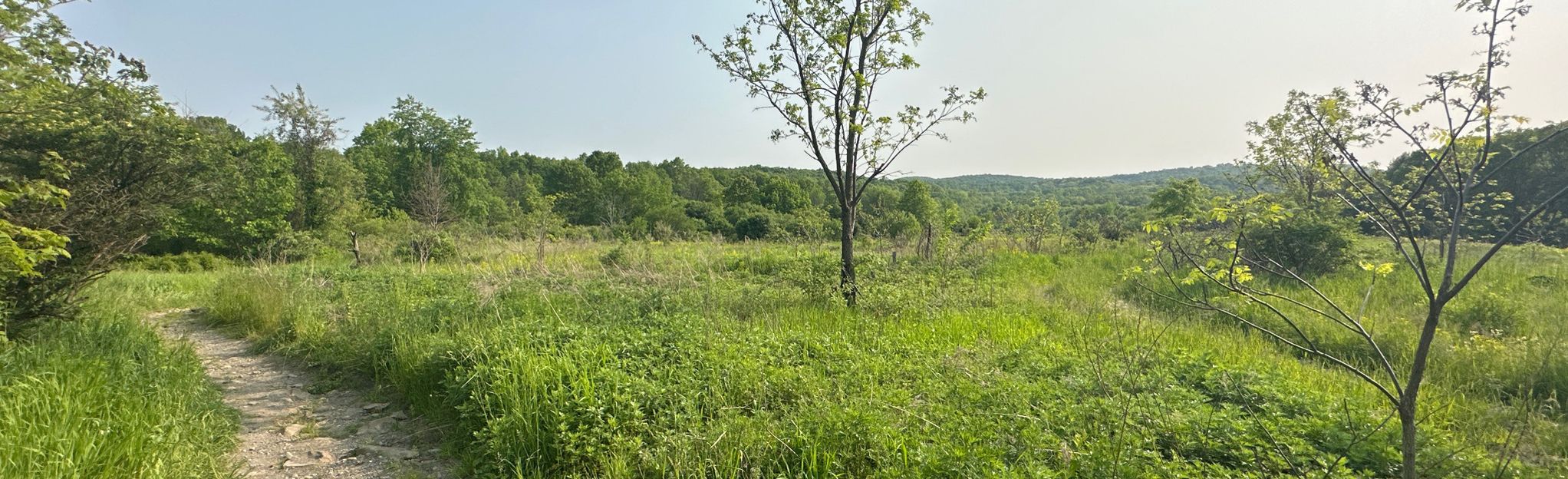 Escape to Serenity: Your Guide to New York's Highland Lakes State Park