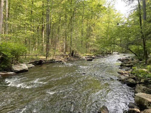 Best Hikes and Trails in Cheesequake State Park | AllTrails