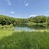 Iron Mine Pond Loop, New York - 252 Reviews, Map | AllTrails