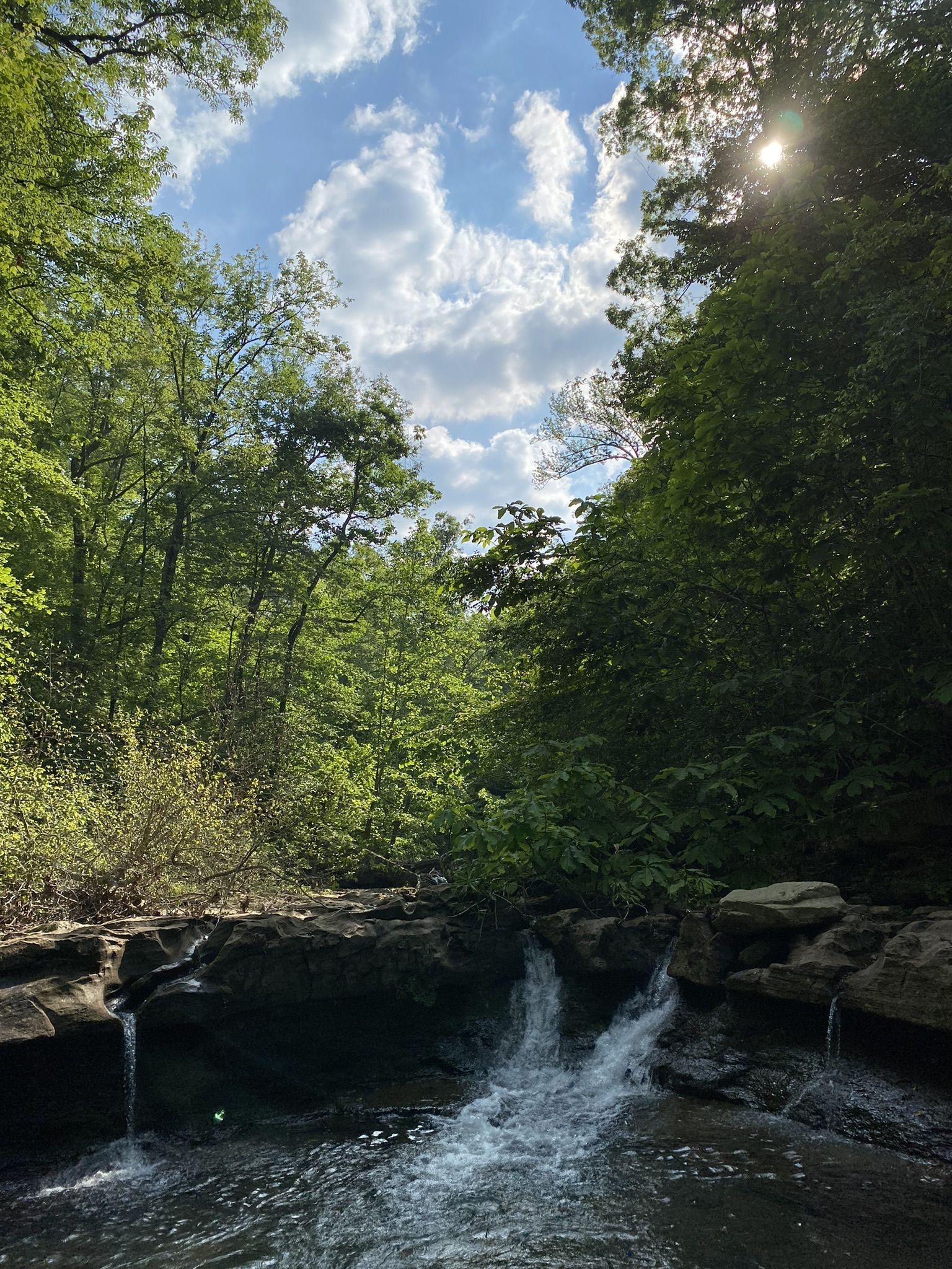 Photos of Leaning Log and Adkins Canyon Falls Trail - Arkansas | AllTrails