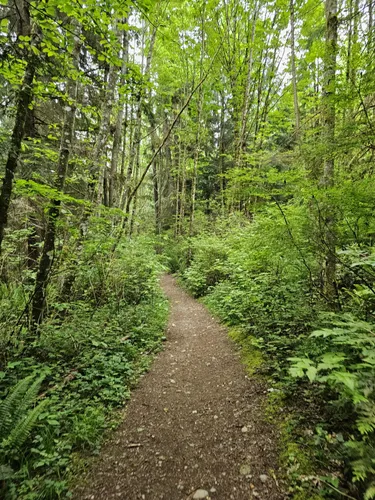 Best Hikes and Trails in Woodinville | AllTrails