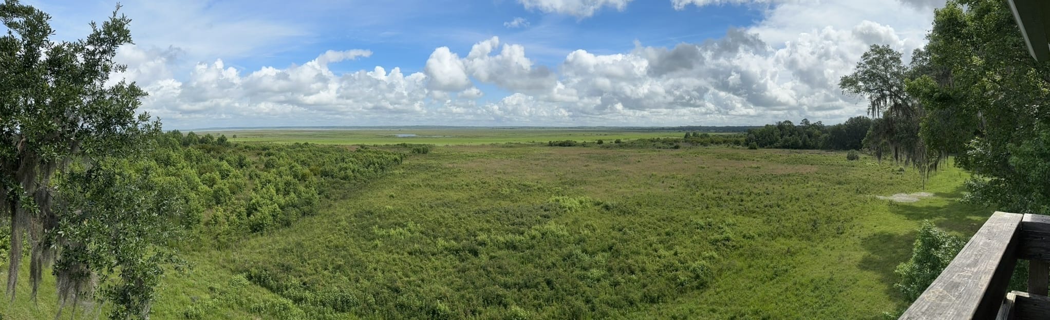 Cone's Dike, Florida 292 Reviews, Map AllTrails