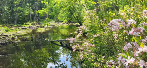 2023-best-bike-touring-trails-in-dingmans-ferry-alltrails