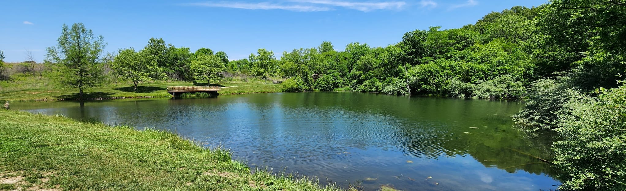 Wildlife Habitat Trail via Hickory Grove Trail, Missouri 318 Reviews