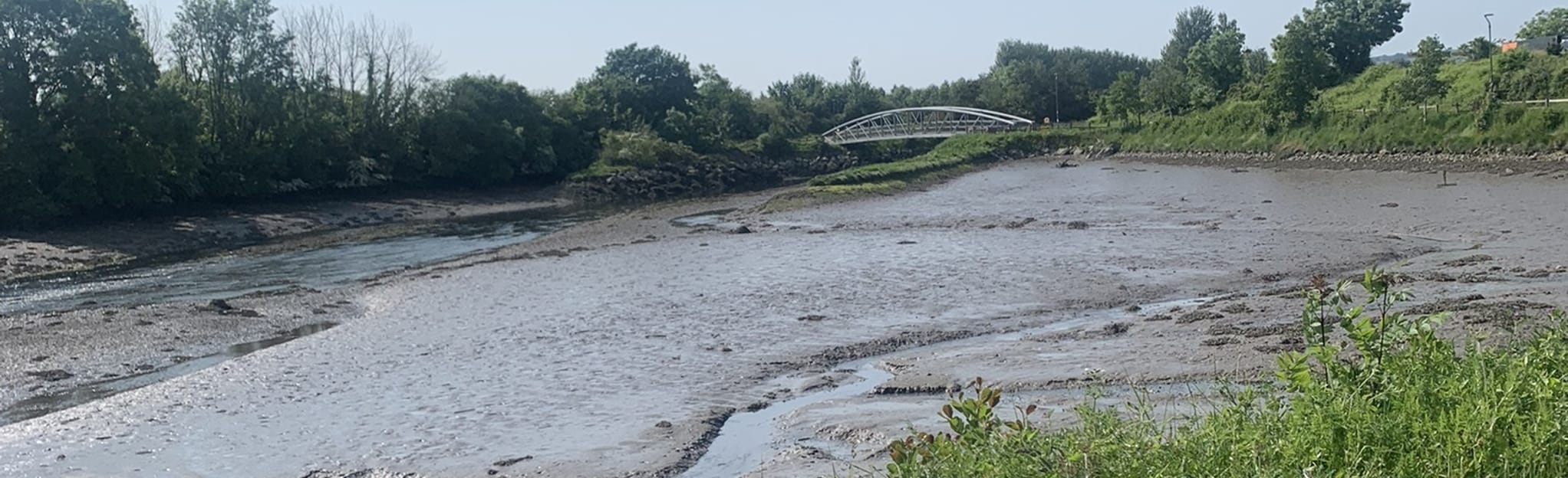 Noel Collins Bridge County Cork, Irland AllTrails