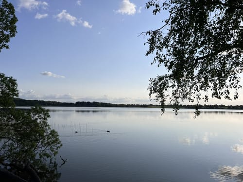 Scharbeutzer Heide und Großer Pönitzer See
