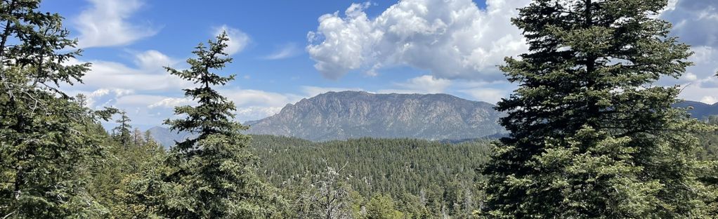 Day Hike: Domingo Baca Trail to TWA Canyon ~ Sandia Mountains ~  Albuquerque, New Mexico, USA