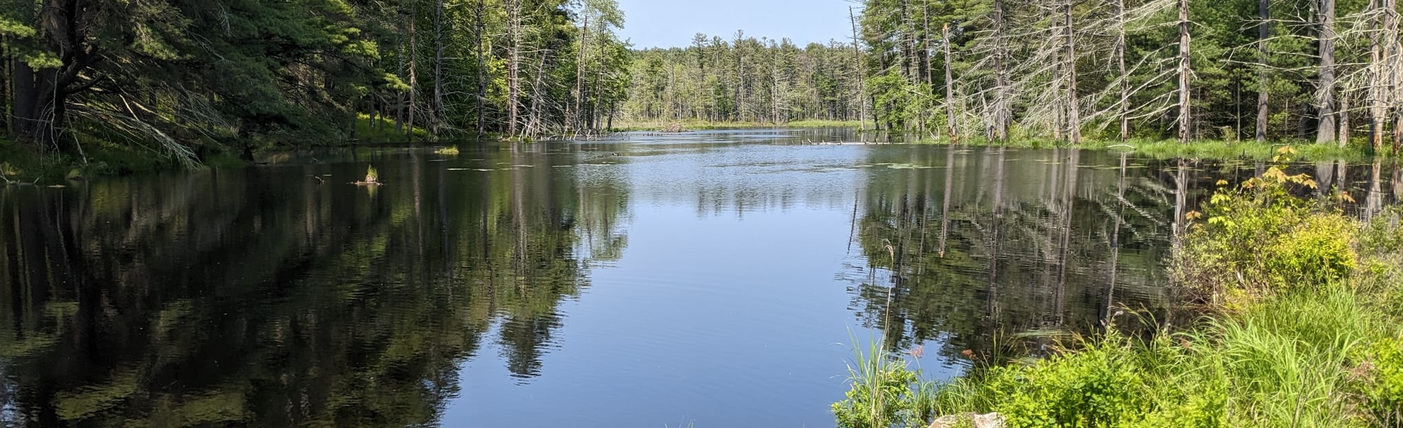 Quabbin Reservoir via Gate 40, Massachusetts - 186 Reviews, Map | AllTrails