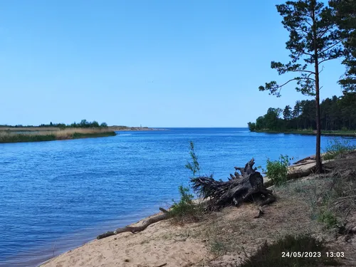 2023 Best Trails, Walks, and Paths in Carnikava AllTrails