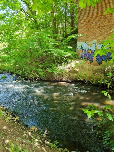 Wanderweg W7 - Este Ost