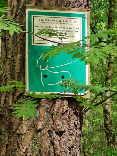 Wanderweg W7 - Este Ost