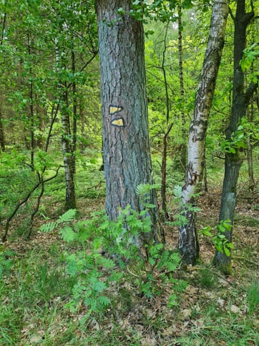 Wanderweg W7 - Este Ost