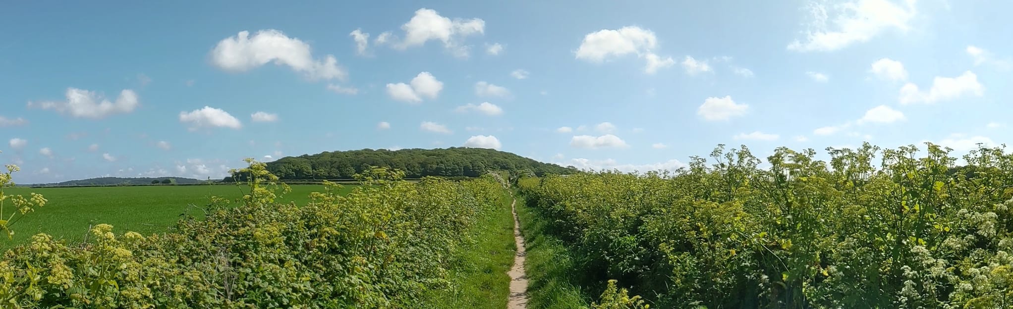 Sheringham Park and Weybourne Circular 62 Reviews, Map Norfolk