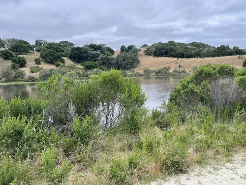 10 Best Hikes and Trails in Fort Ord National Monument  AllTrails