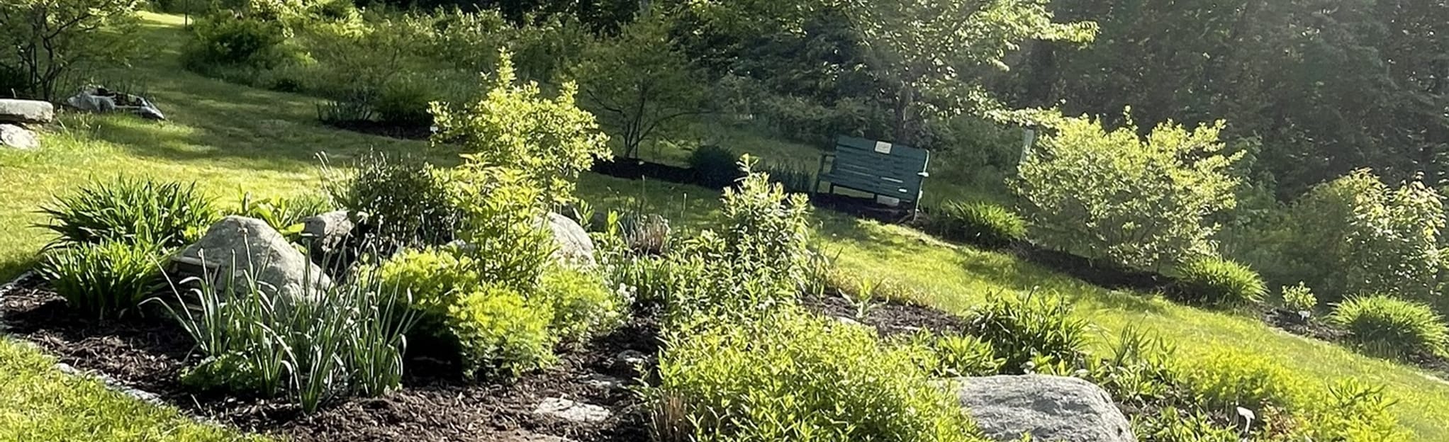 Kalmia Sanctuary Loop, Connecticut Map, Guide AllTrails