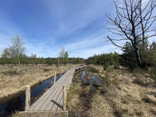 Spier trail run store