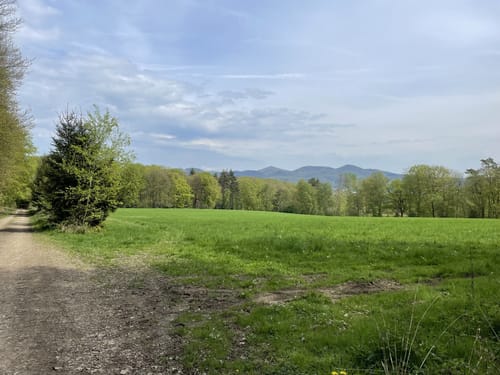 Oberwinter Rundweg