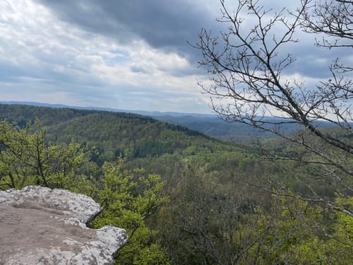 Auf der Spur des Drachen: Rundwanderweg Drachenfels