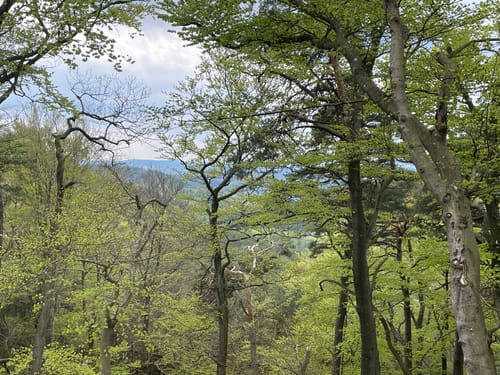Auf der Spur des Drachen: Rundwanderweg Drachenfels