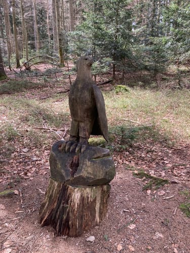 Goldsteig Zuweg Nr. 35: Schöfweg - Brotjacklriegel