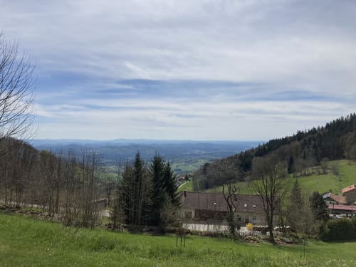 Goldsteig Zuweg Nr. 35: Schöfweg - Brotjacklriegel