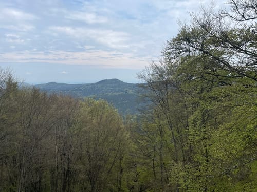 Auf der Spur des Drachen: Rundwanderweg Drachenfels