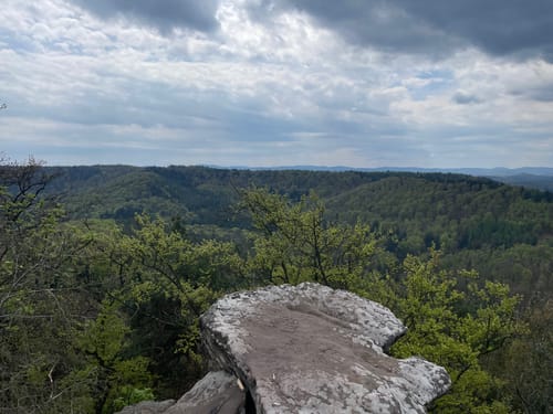 Auf der Spur des Drachen: Rundwanderweg Drachenfels