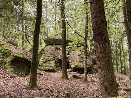 Hochwaldweg - Lallinger Winkel