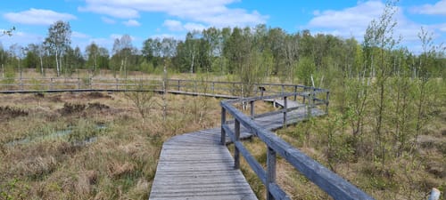 Rund um das Wattenbeker Gehölz