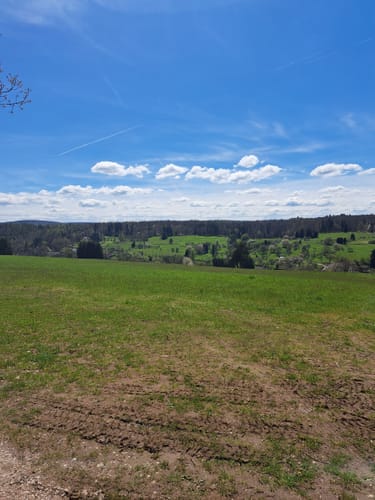 Von Weibersbrunn durchs Oberes Hafenlohrtal