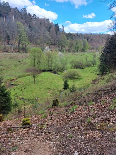 Von Weibersbrunn durchs Oberes Hafenlohrtal