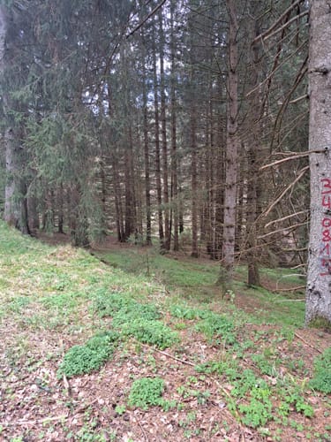 Von Weibersbrunn durchs Oberes Hafenlohrtal