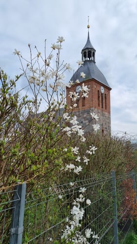 Burg Schlitz - Haussee