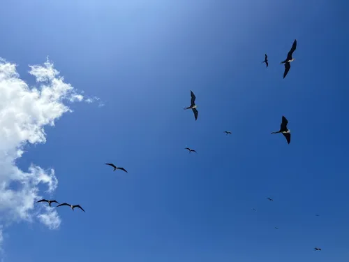 Los mejores senderos y rutas en Refugio Nacional de Vida Silvestre de Cabo  Rojo