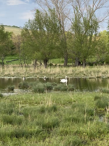 Von Hahnheim über den Selzer Berg ins Selztal