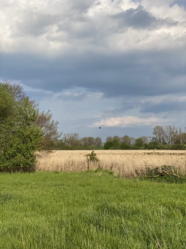 Von Hahnheim über den Selzer Berg ins Selztal