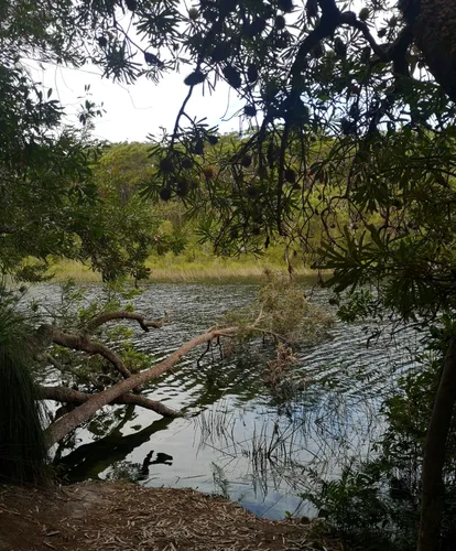 Best Hikes and Trails in Naree Budjong Djara National Park | AllTrails