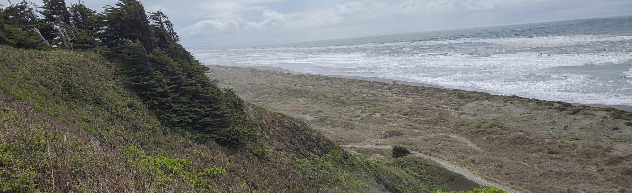 Waluplh - Lighthouse Ranch Interpretive Trail, California - 5 Reviews ...