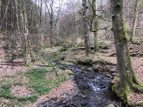 Erkensruhr - Hirschrott (Monschauer Land)