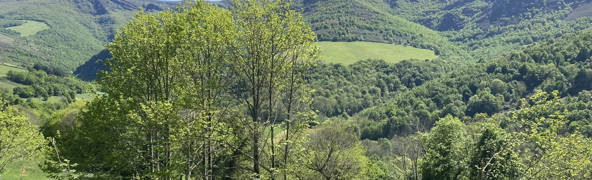 Tricastela O Biduedo Padornelo, Lugo, Spain 5 Reviews, Map