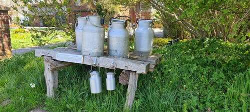 Rund um das Wattenbeker Gehölz